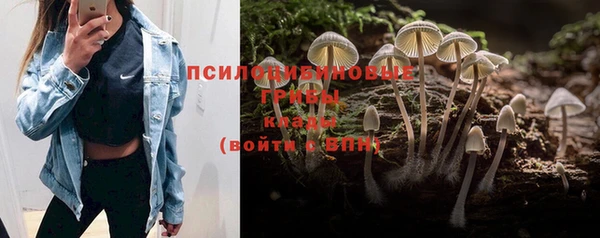 бошки Алексин