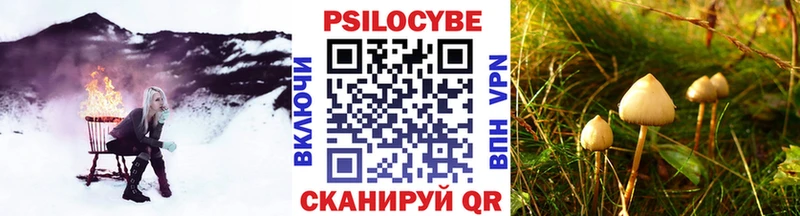 mega сайт  Лихославль  Псилоцибиновые грибы Psilocybe 